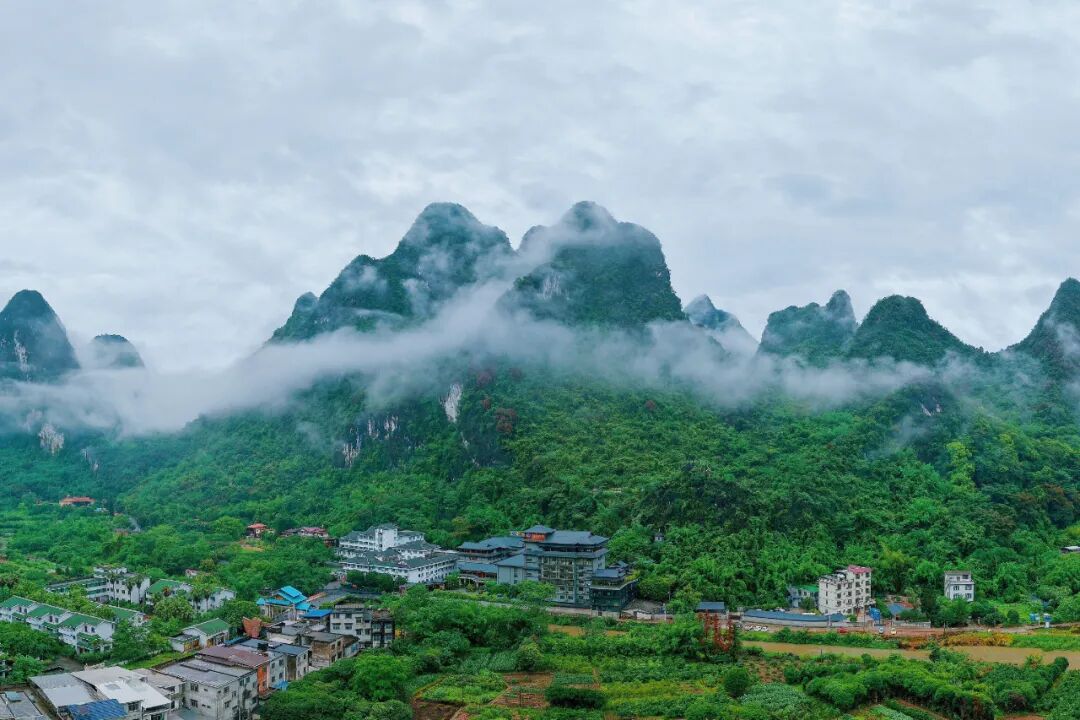 1758771158133923.jpg 1758771158133923.jpg