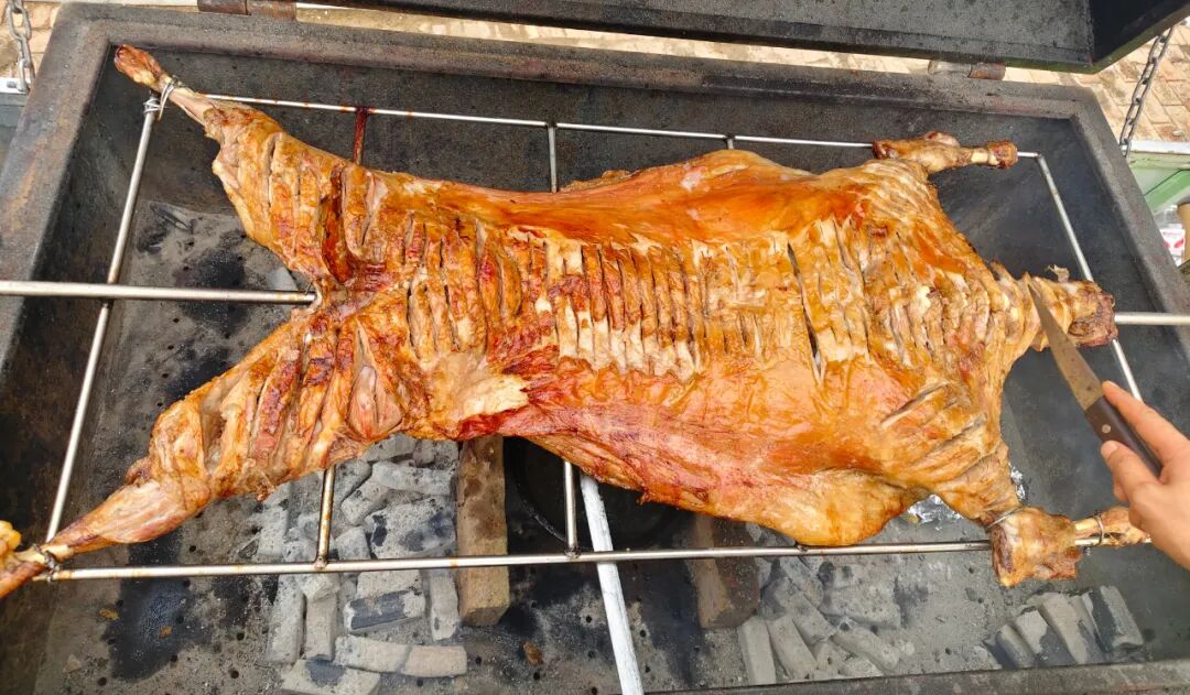 1760431280737995.jpg 1760431280737995.jpg