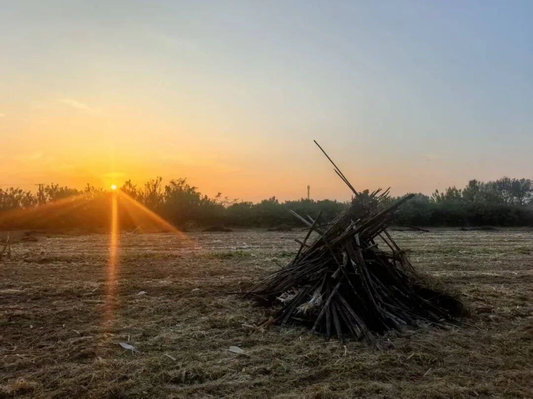 1760431461308537.jpg 1760431461308537.jpg