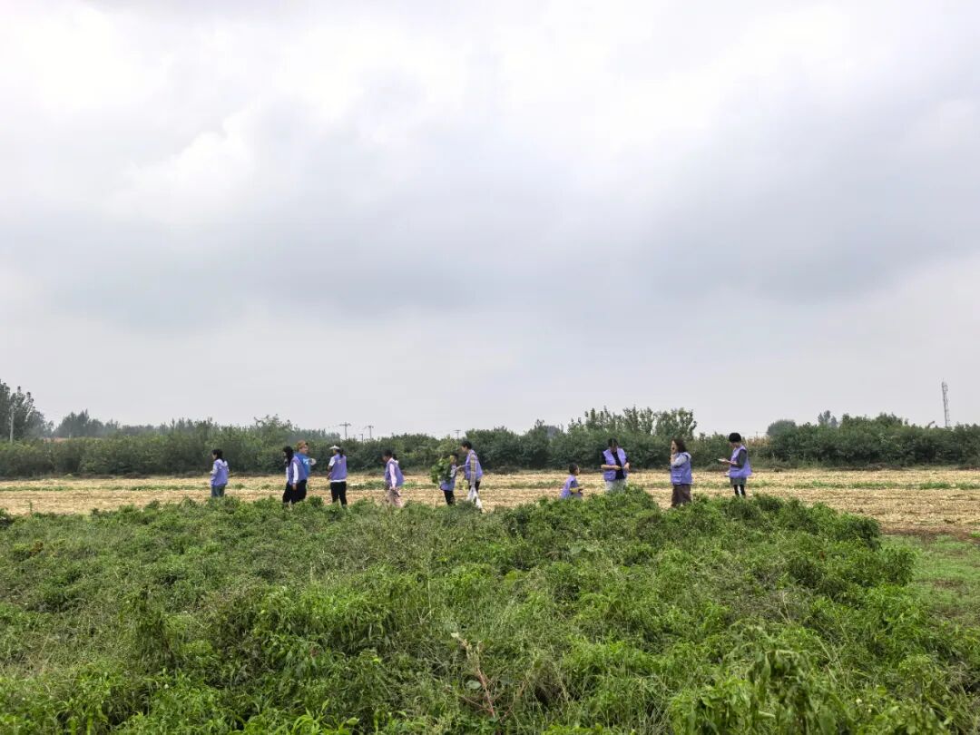 1760431581120488.jpg 1760431581120488.jpg